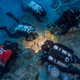 Image: Brett Seymour, EUA/WHOI/ARGO